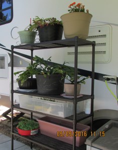 Shelf with heavy planters