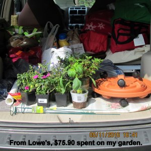 Purchases from Lowe's