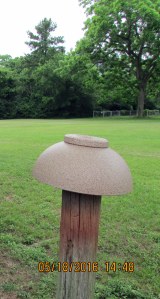 Another spray painted planter