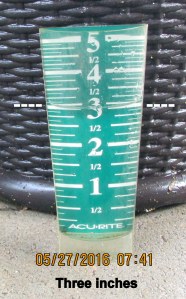 Rain gauge