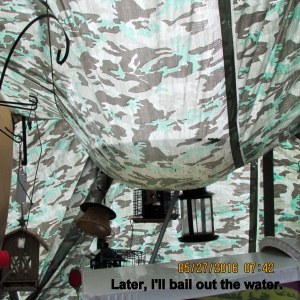 Water on top of tarp shelter