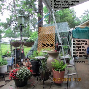 Mickey Mouse project