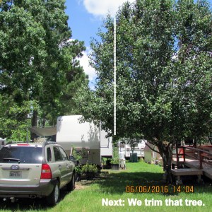 Next, we trim this tree