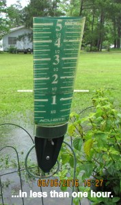 Over an inch of rain in gauge