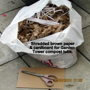 Shredded paper and cardboard