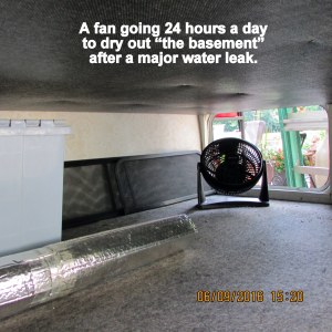 Fan drying out the basement