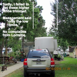 Only the lower limbs