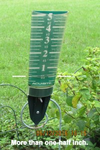 One-half inch of rain
