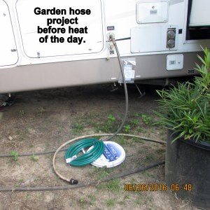 Before the heat of the day