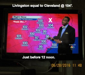 Temperature just before twelve noon