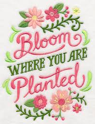 Bloom where you are planted in embroidery (2)