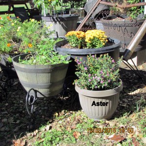 Bed frame in background