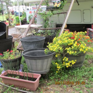 Bed frame with Calabrachoa
