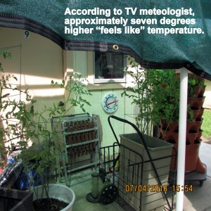 Broad view under the shade awning