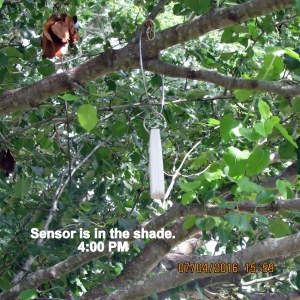 Sensor in the shade