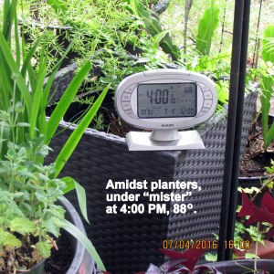 Temperature at four PM