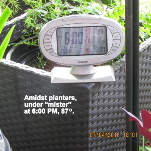 Under mister temperature at six PM (close up)