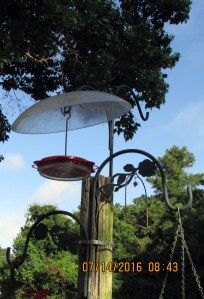 Hummingbird feeder