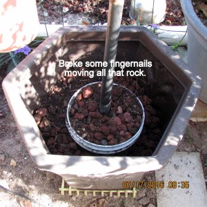 Broke some fingernails moving rock