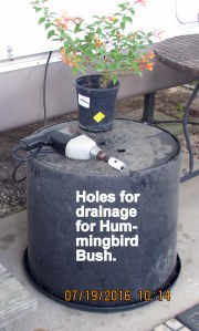 Drilling holes in bottom of container