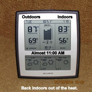 Temperature at eleven