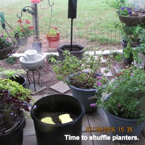 Time to shuffle planters
