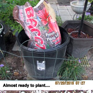 Ready to plant