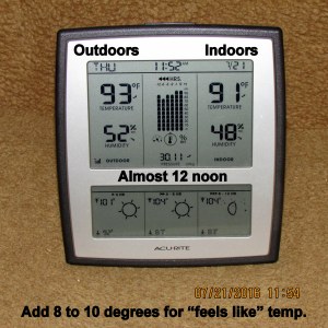 Temperature at twelve noon