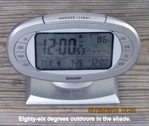 Temperature at twelve noon