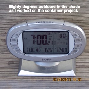 Temperature at seven PM