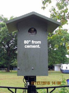 Eighty inches from patio