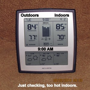 Indoor outdoor at nine