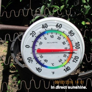 Temperature in full sunshine at two