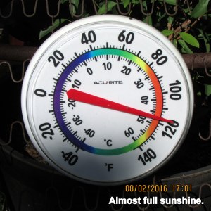 Almost full sunshine