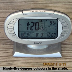 Outdoors in the shade at one-thirty