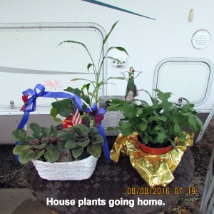 George's plants ready for move