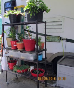 Moved away from wall