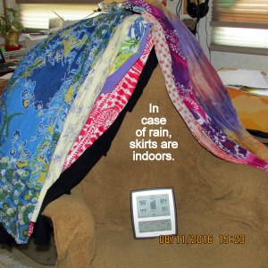 Skirts moved indoors