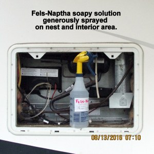 Fels-Naptha sprayed on nest