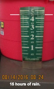 Rain in gauge