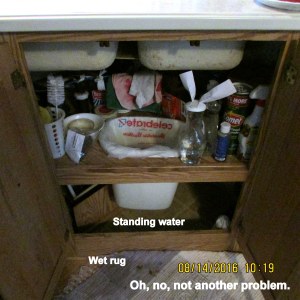 Water on floor under sink