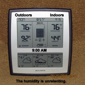 Temperature at nine AM