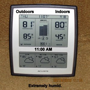 Temperature at eleven