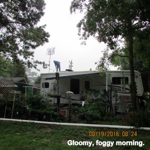 Wide view of Roger and my yard