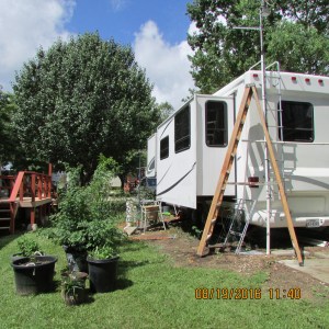 Planters in neighbor's yard