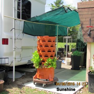 Garden Tower in sunshine