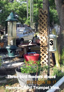 Three bird feeders