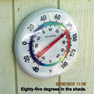 Temperature at eleven