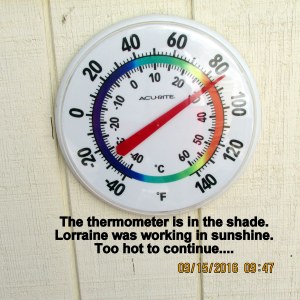 Thermometer on wall