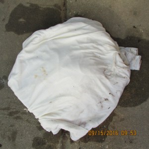 Worms covered with wet nightgown